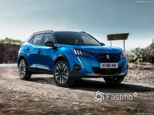 Коврики ЭВА "" для Peugeot e-2008 II (suv / Электро) 2020 - Н.В., ые, 4шт.